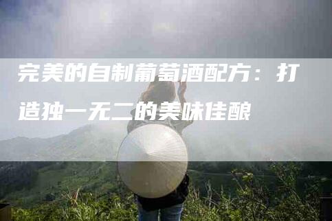 完美的自制葡萄酒配方：打造独一无二的美味佳酿