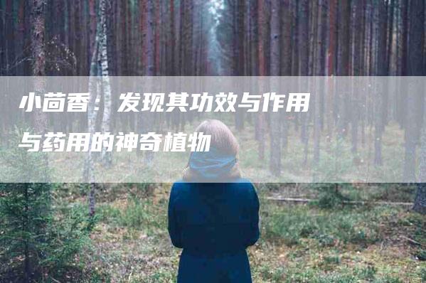 小茴香:发现其功效与作用与药用的神奇植物-住家保姆月嫂服务_家政保洁钟点工家政服务_速上门月嫂网首页