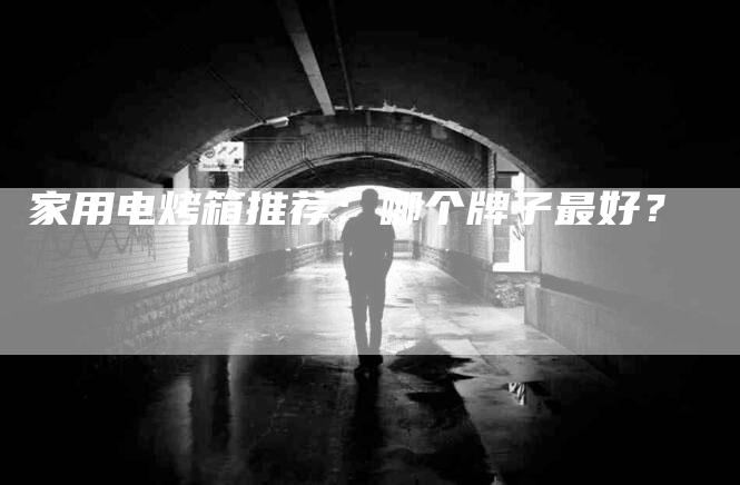 家用电烤箱推荐：哪个牌子最好？