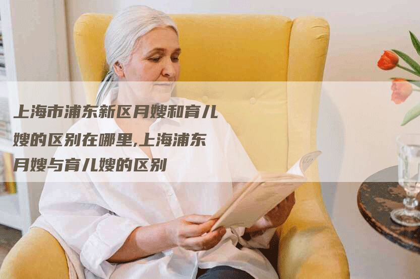 上海市浦东新区月嫂和育儿嫂的区别在哪里,上海浦东月嫂与育儿嫂的区别