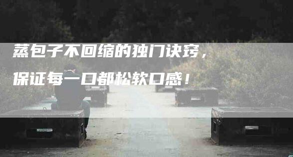 蒸包子不回缩的独门诀窍，保证每一口都松软口感！-住家保姆月嫂服务_家政保洁钟点工家政服务_速上门月嫂网首页