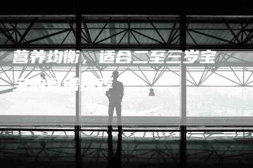 营养均衡，适合二至三岁宝宝的食谱推荐