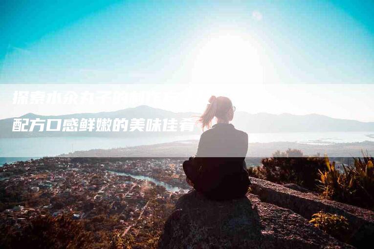 探索水汆丸子的制作方法及配方口感鲜嫩的美味佳肴