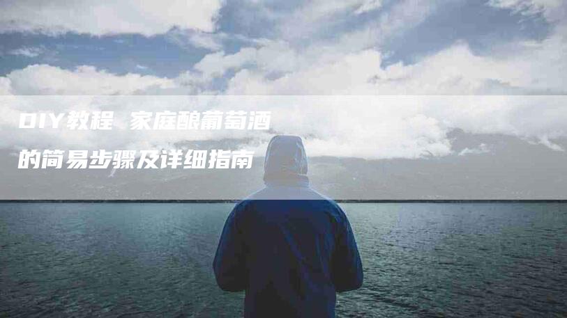 DIY教程 家庭酿葡萄酒的简易步骤及详细指南