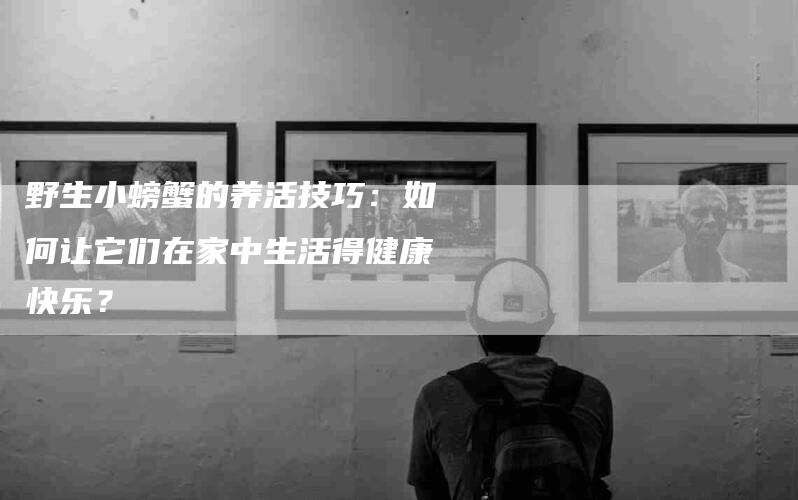野生小螃蟹的养活技巧：如何让它们在家中生活得健康快乐？