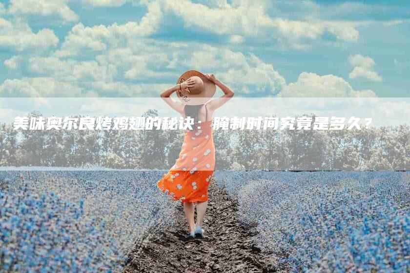 美味奥尔良烤鸡翅的秘诀：腌制时间究竟是多久？-住家保姆月嫂服务_家政保洁钟点工家政服务_速上门月嫂网首页