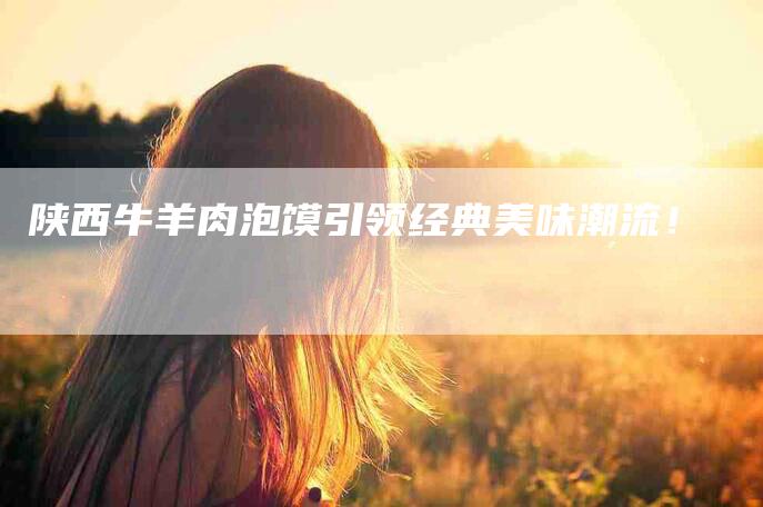 陕西牛羊肉泡馍引领经典美味潮流！