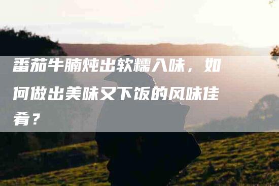 番茄牛腩炖出软糯入味，如何做出美味又下饭的风味佳肴？-住家保姆月嫂服务_家政保洁钟点工家政服务_速上门月嫂网首页