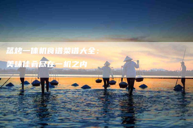 蒸烤一体机食谱菜谱大全：美味佳肴尽在一机之内