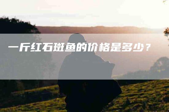 一斤红石斑鱼的价格是多少？