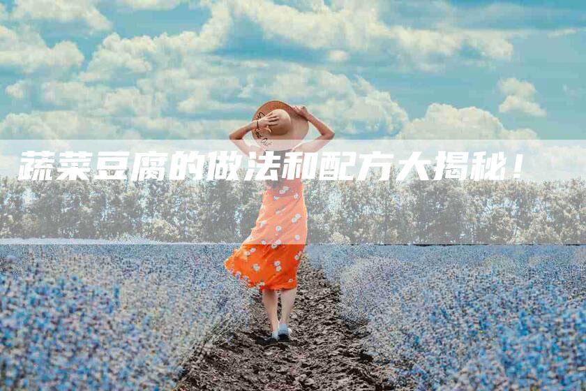 蔬菜豆腐的做法和配方大揭秘！