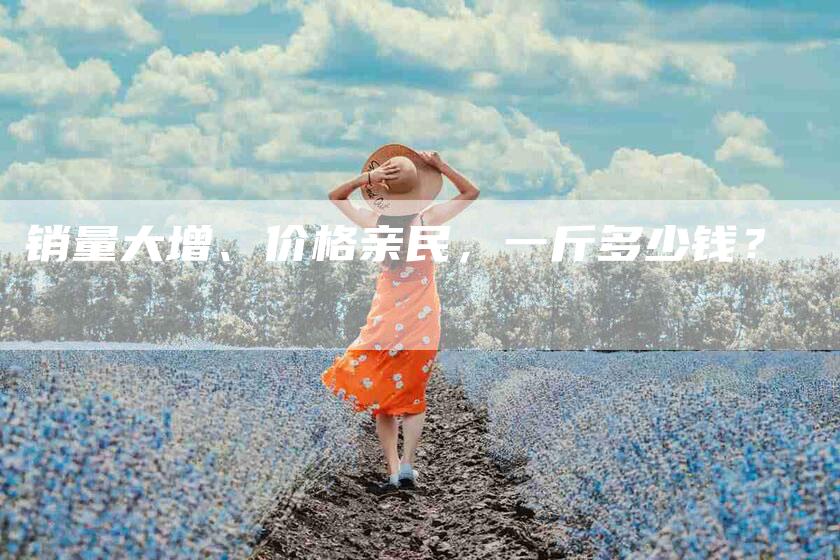 销量大增、价格亲民，一斤多少钱？