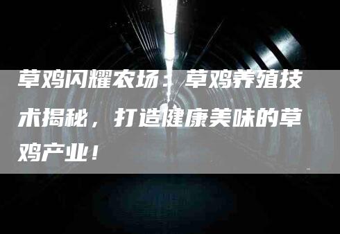 草鸡闪耀农场：草鸡养殖技术揭秘，打造健康美味的草鸡产业！