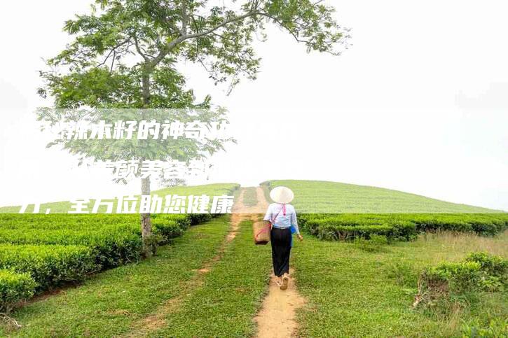 揭秘辣木籽的神奇功效与作用：从养颜美容到增强免疫力，全方位助您健康