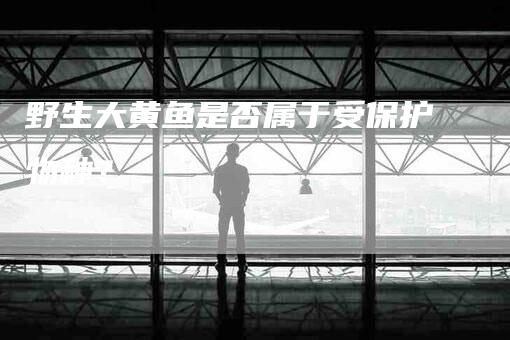 野生大黄鱼是否属于受保护物种？-住家保姆月嫂服务_家政保洁钟点工家政服务_速上门月嫂网首页