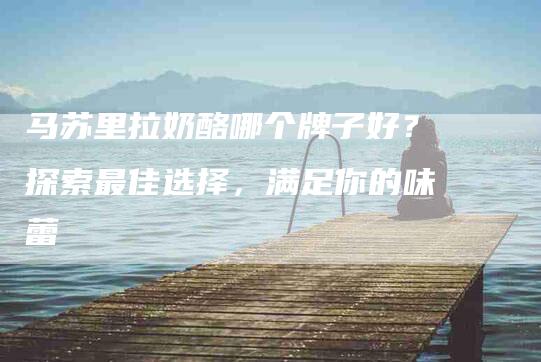 马苏里拉奶酪哪个牌子好？探索最佳选择，满足你的味蕾