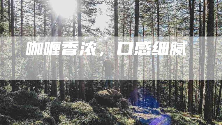 咖喱香浓，口感细腻
