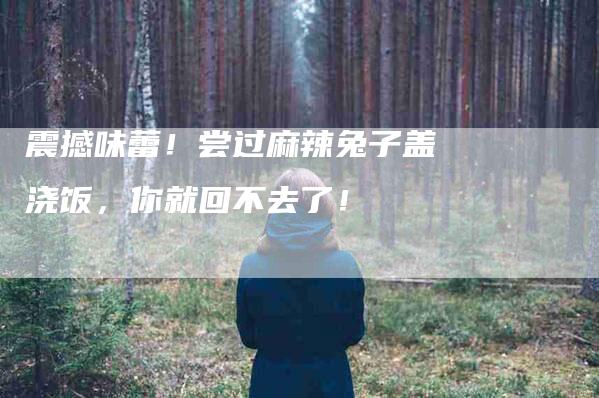 震撼味蕾！尝过麻辣兔子盖浇饭，你就回不去了！-住家保姆月嫂服务_家政保洁钟点工家政服务_速上门月嫂网首页