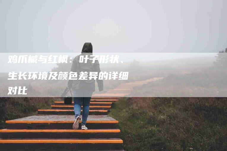鸡爪槭与红枫：叶子形状、生长环境及颜色差异的详细对比-住家保姆月嫂服务_家政保洁钟点工家政服务_速上门月嫂网首页