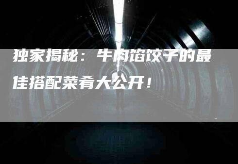 独家揭秘：牛肉馅饺子的最佳搭配菜肴大公开！
